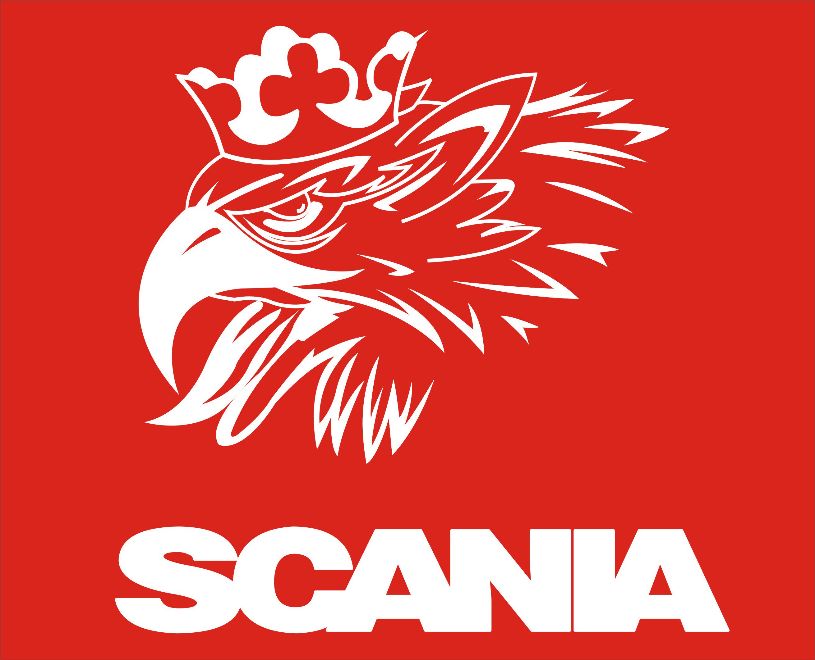 斯堪尼亚SCANIA重卡拖头装饰贴反光贴纸车门贴纸贴花拉花