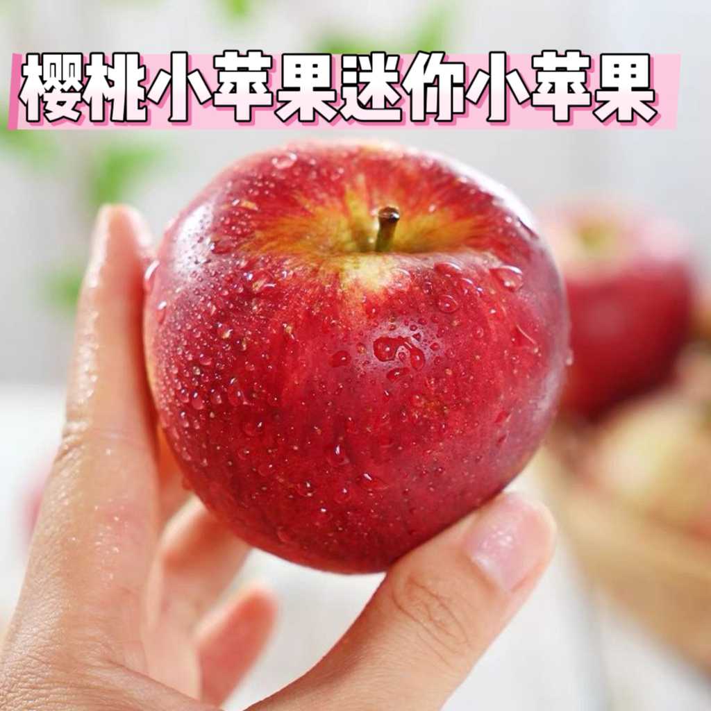 樱桃小苹果当季迷你小苹果脆新鲜水果丑苹果孕妇脆甜应冰糖心红富