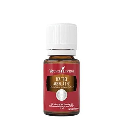 Tea Tree (Melaleuca Alternifolia) Essential Oil by Young
