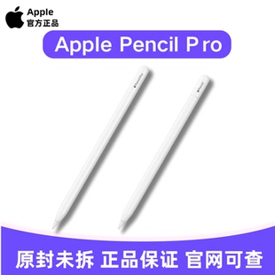Apple苹果Pencil Pro手写笔新款原封正品重力压感官方正品海外版
