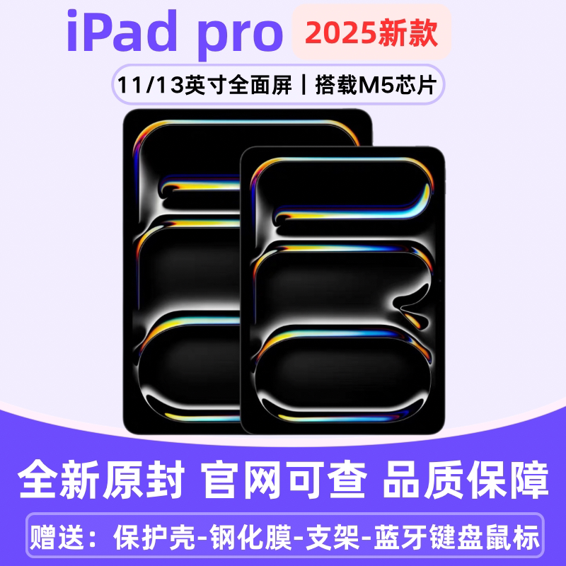 Apple/苹果 11 英寸 iPad Pro (2025)M5