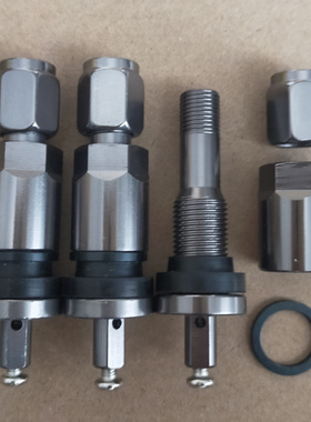 适用比亚迪 唐 宋MAX 元 pro E5 秦EV胎压监测传感器气门嘴