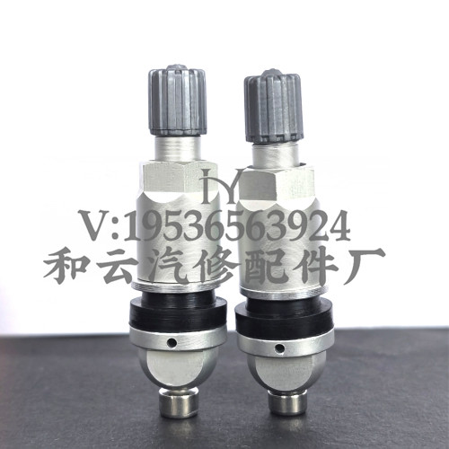 胎压监测传感器气门嘴发光发亮
