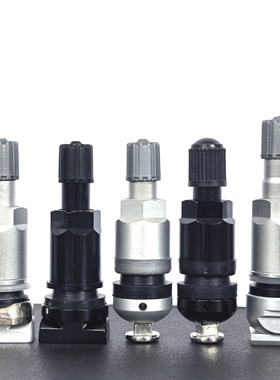 适用奔驰 V260级 W123 W124 Vaneo Metris 胎压监测传感器气门嘴