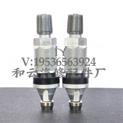 胎压监测传感器气门嘴发光发亮