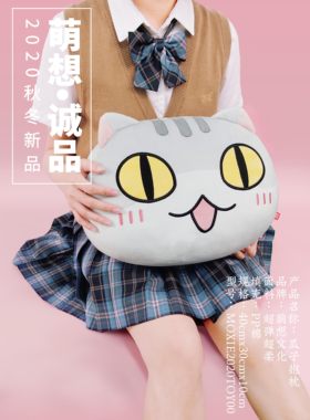 肥志如果历史是一群喵瓜子抱枕