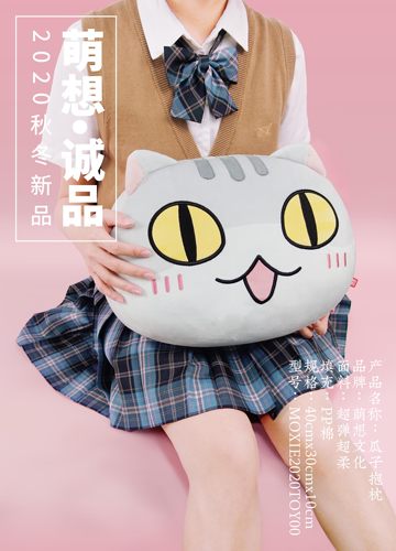 肥志如果历史是一群喵瓜子抱枕