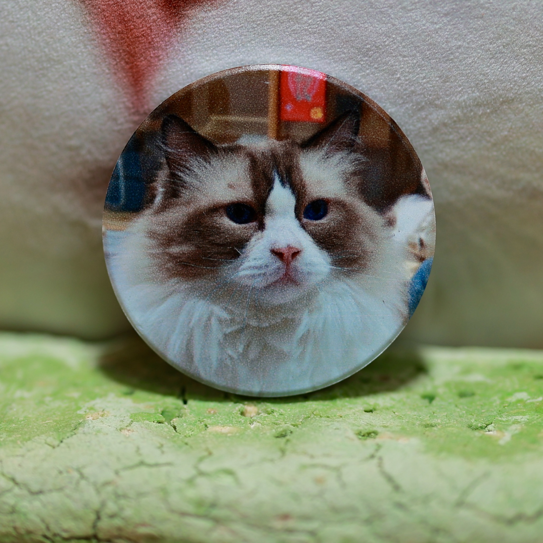 【猫不理周边】（猫-皮蛋）冰箱贴 磁吸 陶瓷冰箱贴