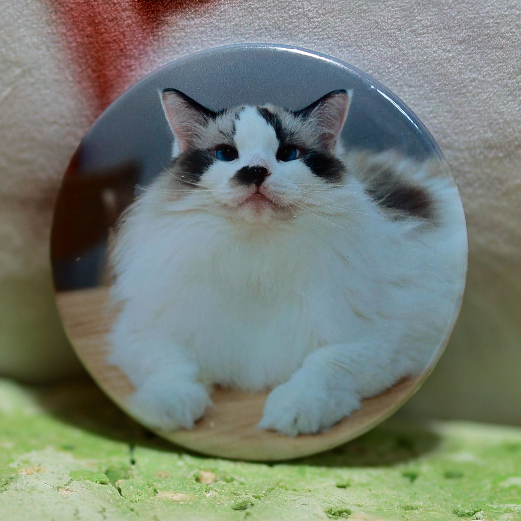 [猫不理周边]  (猫-小贱才） 吧唧 胸章 徽章