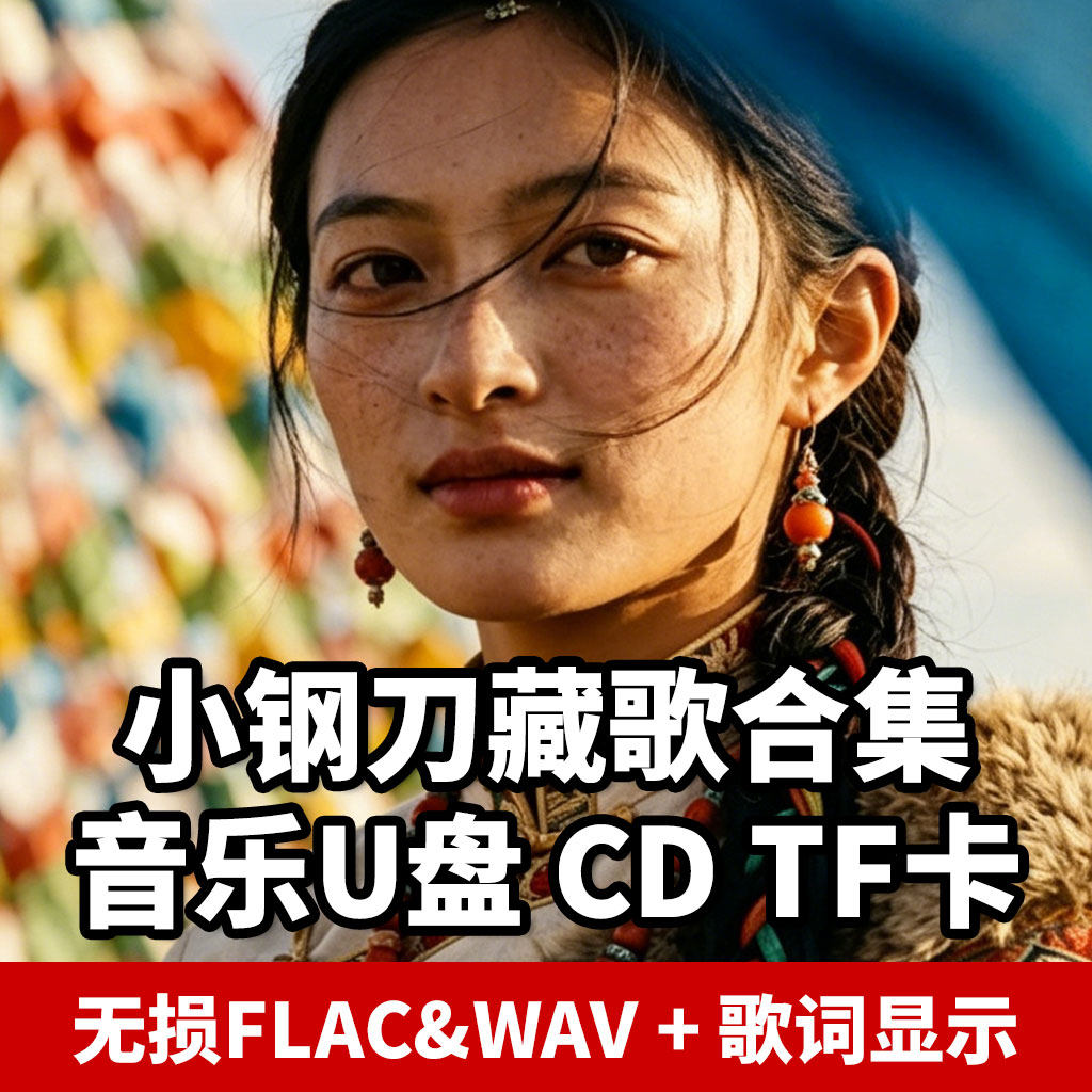小钢刀去看拉萨河视频藏歌车载音乐u盘歌曲cd碟片无损高音质歌词