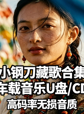 小钢刀去看拉萨河视频藏歌合集车载音乐u盘歌曲cd碟片无损高音质
