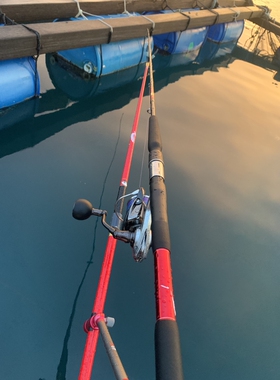 Gamakatsu伽玛卡兹Seafang MADAI软調性并继竿船钓排筏钓竿海钓竿