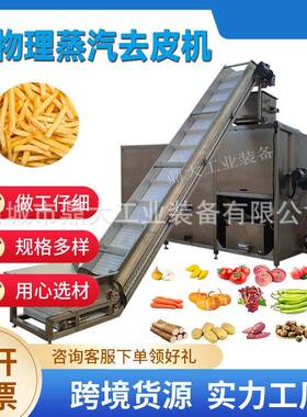 隆坤果蔬蒸汽爆皮机全自动红薯去皮机物理脱皮不伤果肉机械