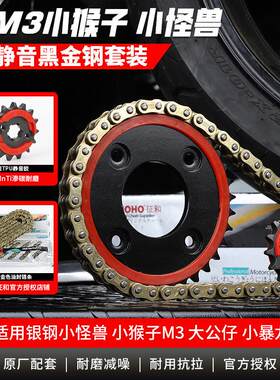 适用望江大公仔MSX125银钢小怪兽M3小猴子小暴龙链轮大齿盘油封链