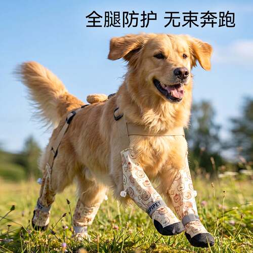 宠物鞋背带鞋一体防掉脱耐磨防水中大型犬遛狗鞋子狗狗四脚鞋