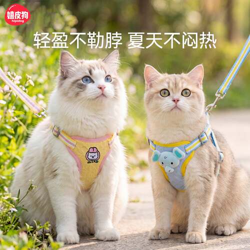 26年新款猫咪牵引绳背心式遛狗绳遛猫绳透气防挣脱胸背带宠物牵引