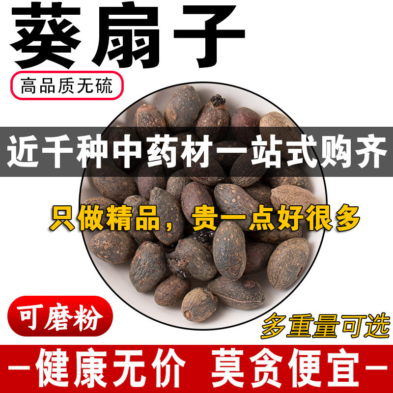 精品葵扇子中药材正品葵扇籽新货葵树籽葵树子蒲扇子蒲葵子500克g