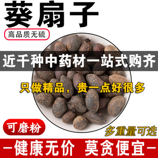 精品葵扇子中药材正品葵扇籽新货葵树籽葵树子蒲扇子蒲葵子500克g