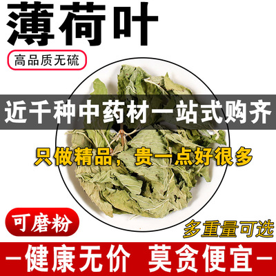 精品薄荷叶中药材正品干薄荷叶薄何薄荷可免费代磨薄荷叶粉500克g