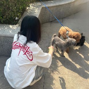 字母刺绣纯棉短袖 情侣上衣 设计感小众白色T恤女夏季 oversize美式