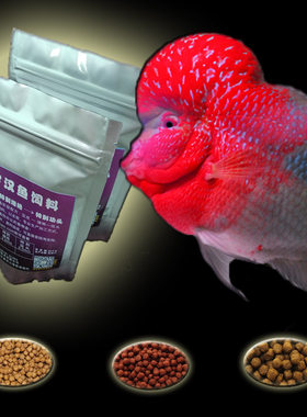 罗汉起头鱼料增艳480g