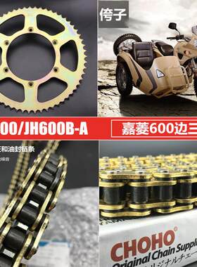 适用嘉陵600边三轮机车套炼JH600链轮大小大齿盘改装油封链条
