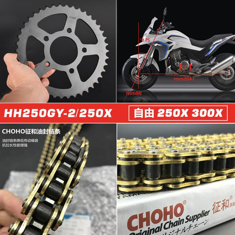 适用黄河HH250GY-2摩托车牙盘自由250X300X链轮征和油封链条