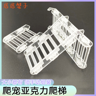 亚克力爬梯透明小宠物玩具攀爬