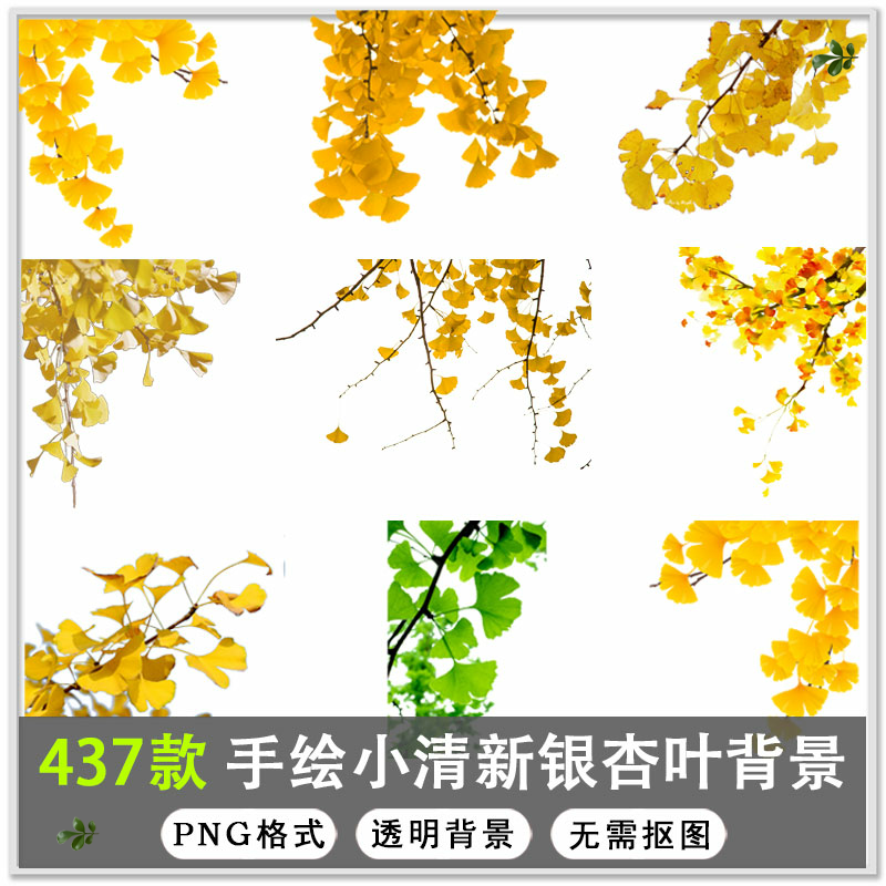 437款秋天金色叶子银杏叶枫叶树叶落叶背景png透明背景免扣素材