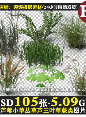 小麦芦苇杂草芦三叶草小草丛草蕨类羊茅植物图片免抠图PSD素材