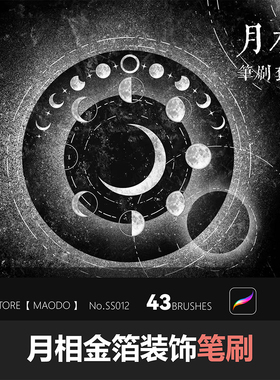 月相笔刷Procreate金箔装饰画笔43支