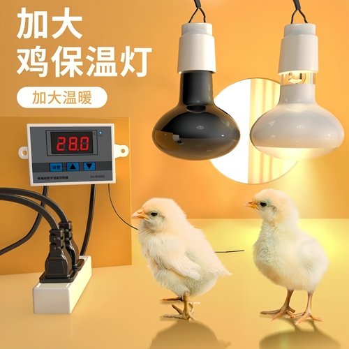 芦丁鸡鹌鹑保温取暖灯