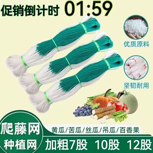 新型爬藤网苦瓜吊瓜丝瓜黄瓜网豆角网植物百香果架子支架网农用
