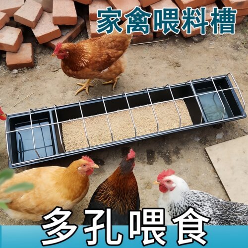 自动加厚聚丙烯鸡食槽干湿两用