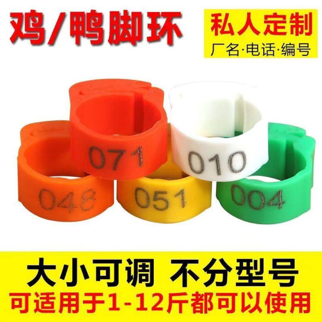 鸡脚环记号卡扣防走失扣环