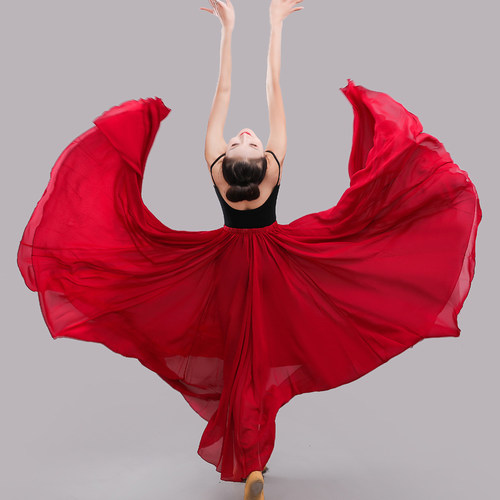 大摆裙舞蹈服古典现代舞纱裙飘逸