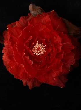 风雪初晴   梦醉颜发夹【烫花】汉服古风配饰红色大牡丹唐风