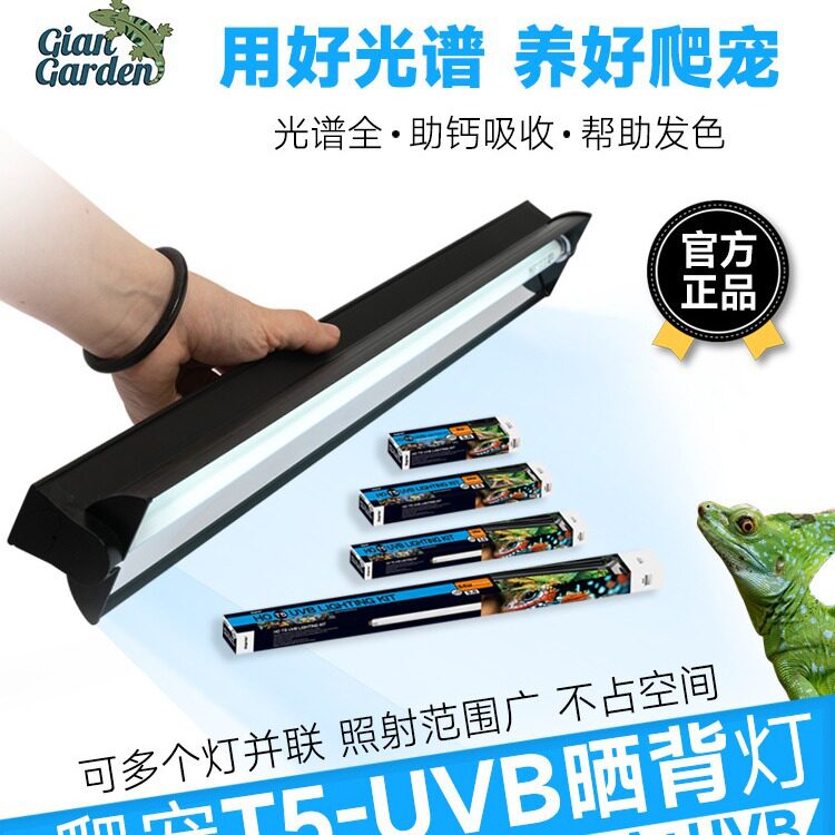 Giangarden巨人爬宠 T5灯具 UVB T5灯管T5灯罩整套定时开关T5灯