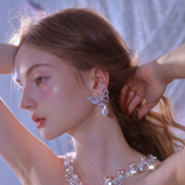 Wardrobes 蝴蝶钻饰吊坠耳环 官方授权2024春夏新款 chen