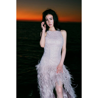 Wardrobes by chen2026SS 晶莹绣珠蕾丝羽毛大摆连衣裙