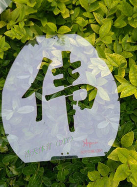 羽毛球拍DIY网球拍模板图案