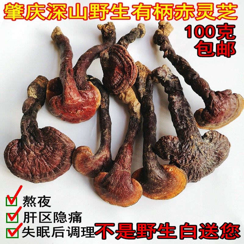 灵芝 野生特级 可切片  整枝 有柄赤灵芝100g 农家自采无硫山货