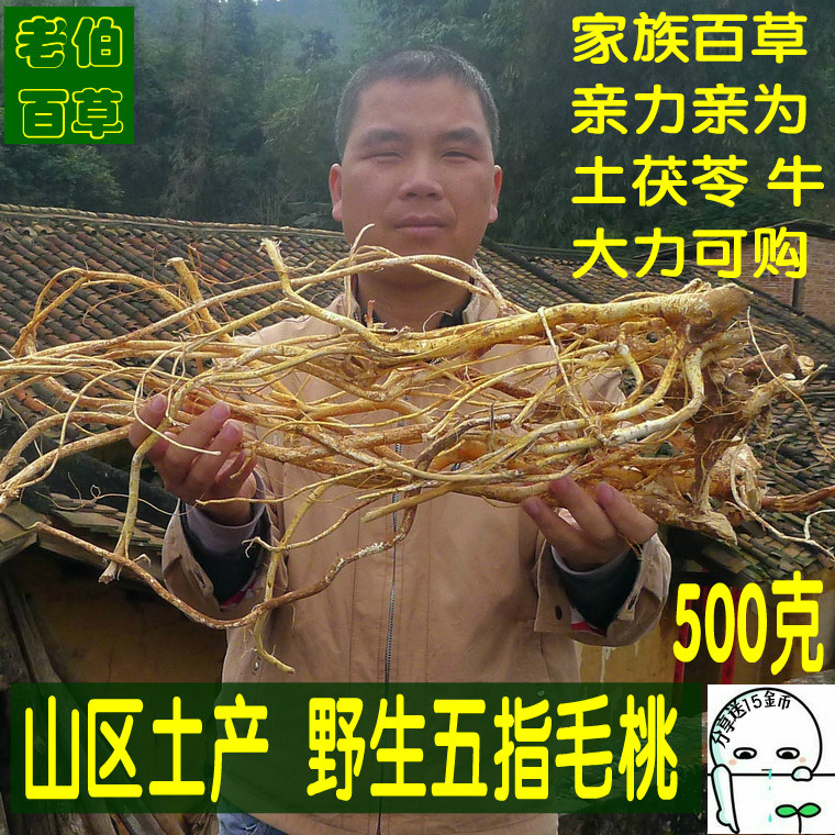 无硫五指毛桃根野山生特级客家天然五指毛桃根新鲜干货纯天然500g