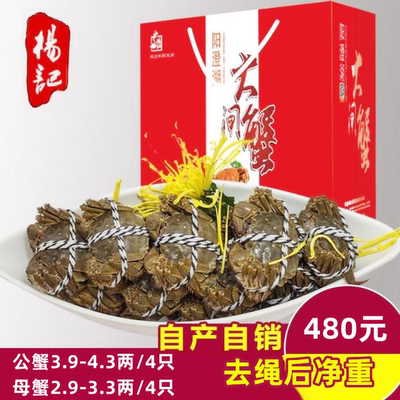 杨记大闸蟹河蟹膏满黄肥足斤足两