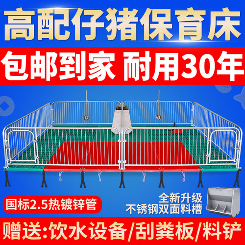 仔猪保育床热镀2.5小猪单双体保育栏母猪产床定位栏猪场养殖设备