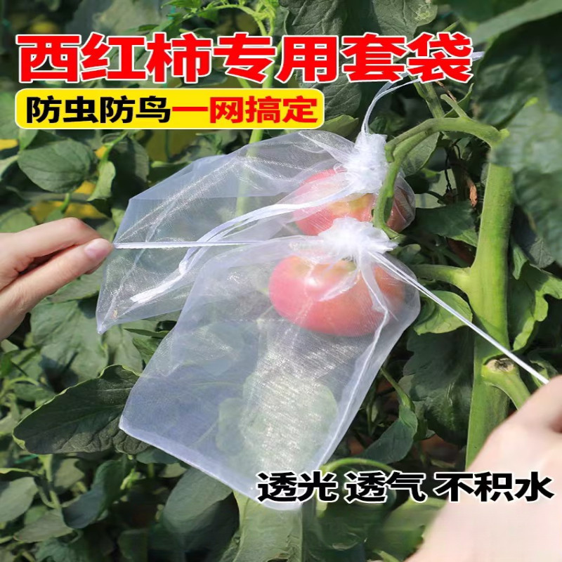 西红柿防鸟罩番茄套袋防虫防鸟水果专用套袋子菜园防护网罩保护套