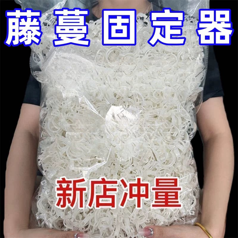 藤蔓瓜果捆绑夹塑料绑蔓夹绑枝夹吊蔓夹黄瓜夹西红柿夹植物固定夹