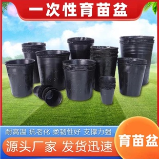 营养钵育苗钵一次性秧苗育苗杯黑色塑料育苗盆花卉种植袋多用途盘