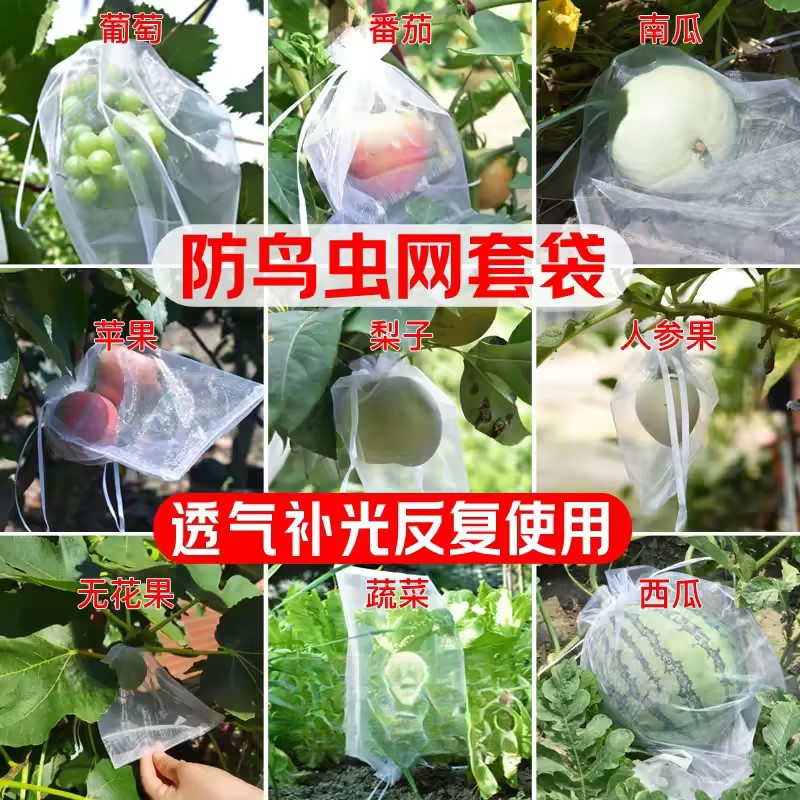 水果套袋防鸟防虫专用网袋葡萄无花果杨桃柿子草莓番石榴保护袋子