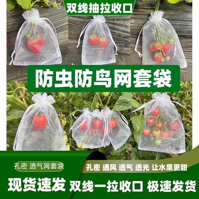 水果网套袋防虫防鸟纱网袋草莓套袋葡萄透气套袋无花果番石榴套袋
